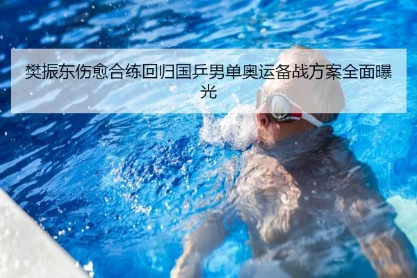 樊振东伤愈合练回归国乒男单奥运备战方案全面曝光